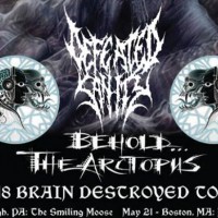 Defeated Sanity, Behold The Arctopus, and Microwaves