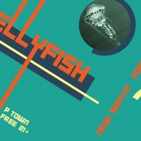 Jellyfish: new wave · italo disco · post-punk