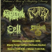 Cerebral Rot, Fetid, Cell, and Abysme